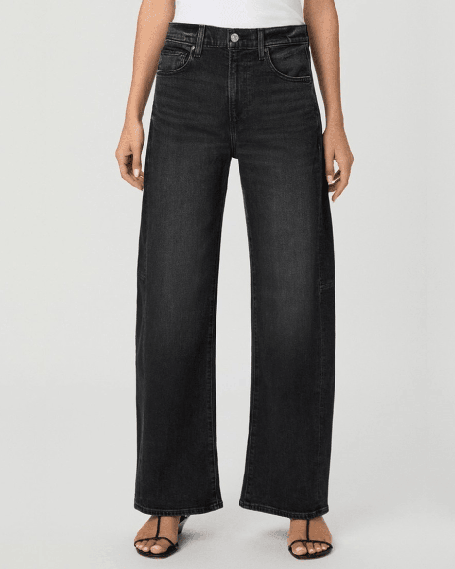 Paige Arellia Skimmer Barrel Jean in Oscura