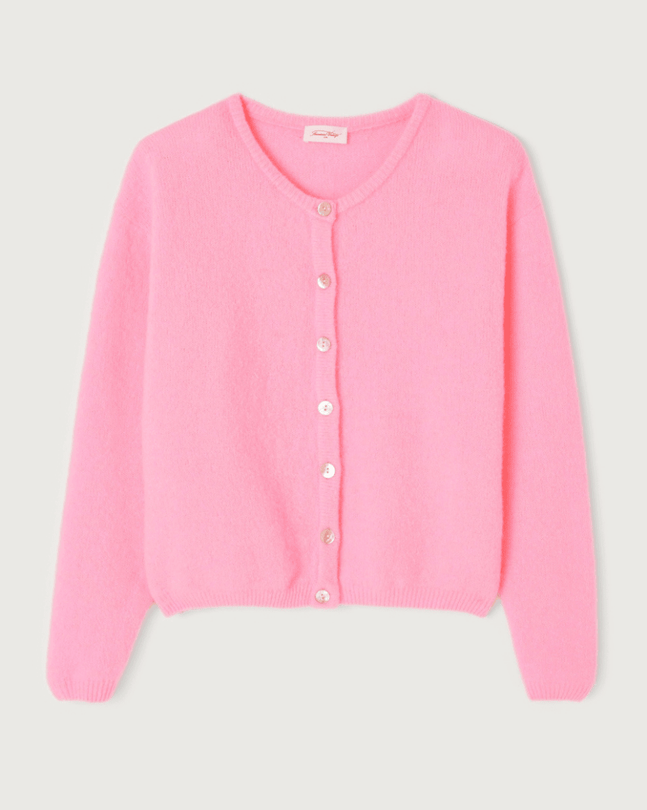 American Vintage Vitow Jumper - AMERICAN VINTAGE - Luxe Leopard