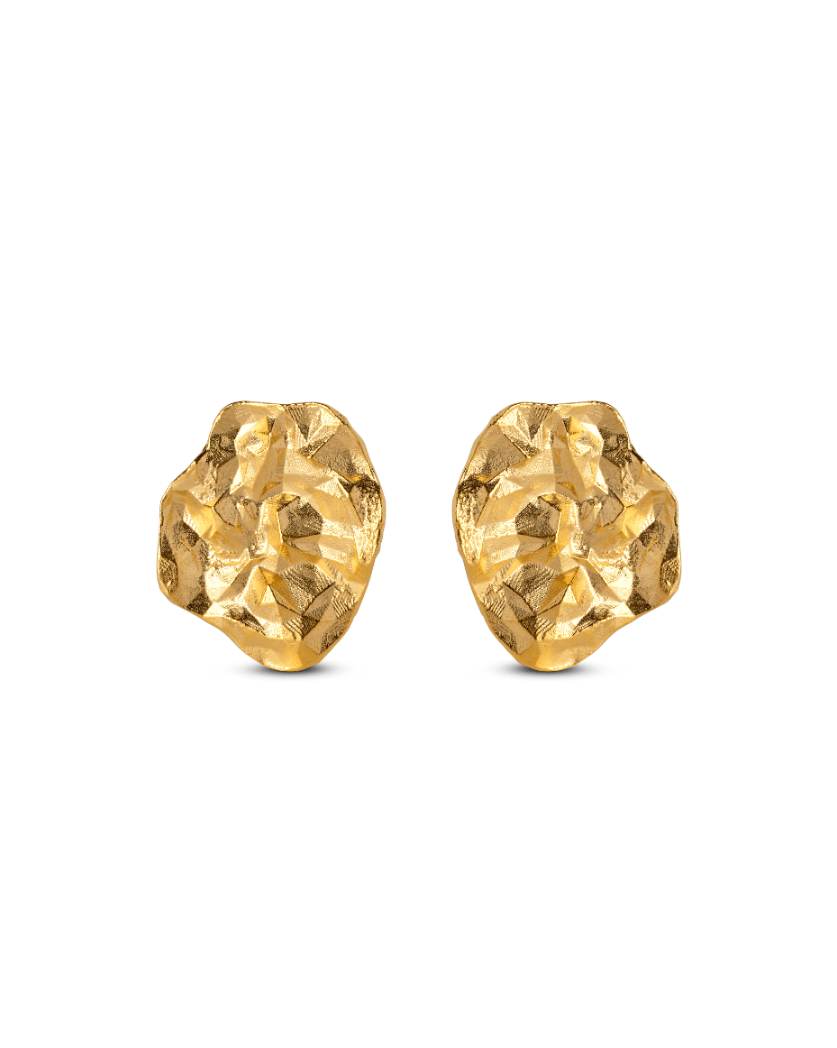 Enamel Copenhagen Windy Studs - Luxe Leopard