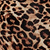 8 / Leopard Print